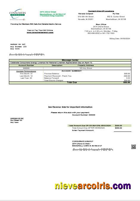 USA Consumers Energy business utility bill